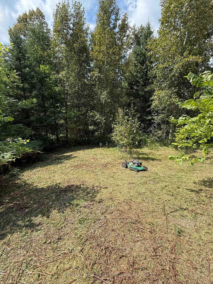 21508 Highway 41 N/A — photo 1