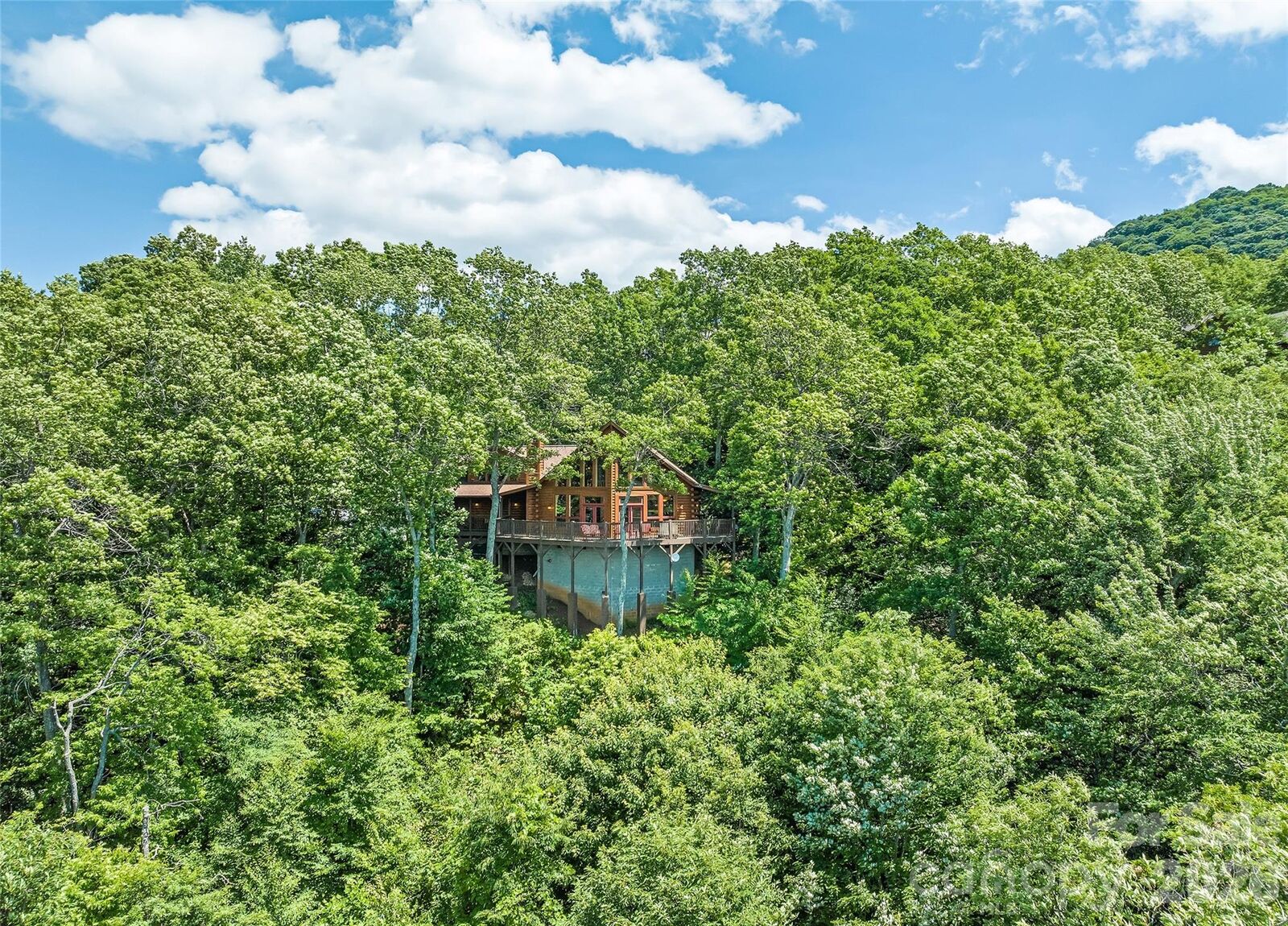 Property Photo: 207 Walela Trail NC 28751