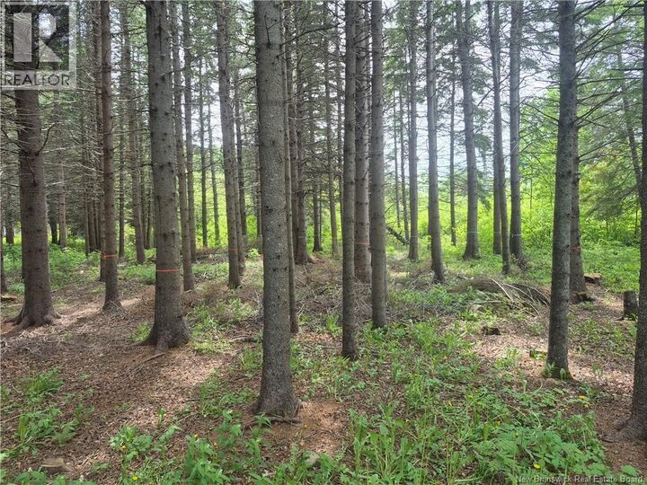 Property Photo:  2.3 Acres Route 134  NB E8J 2E5 
