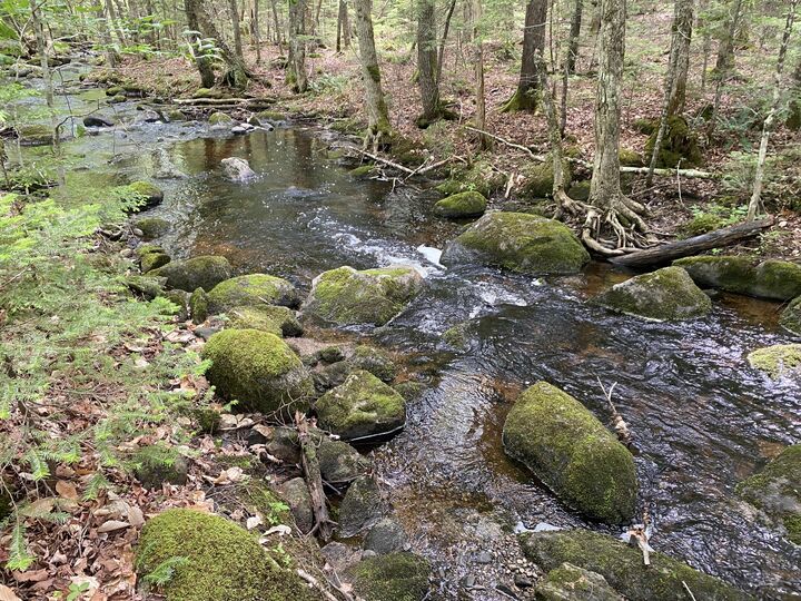 Property Photo:  783 Half Township Road  ME 04457 