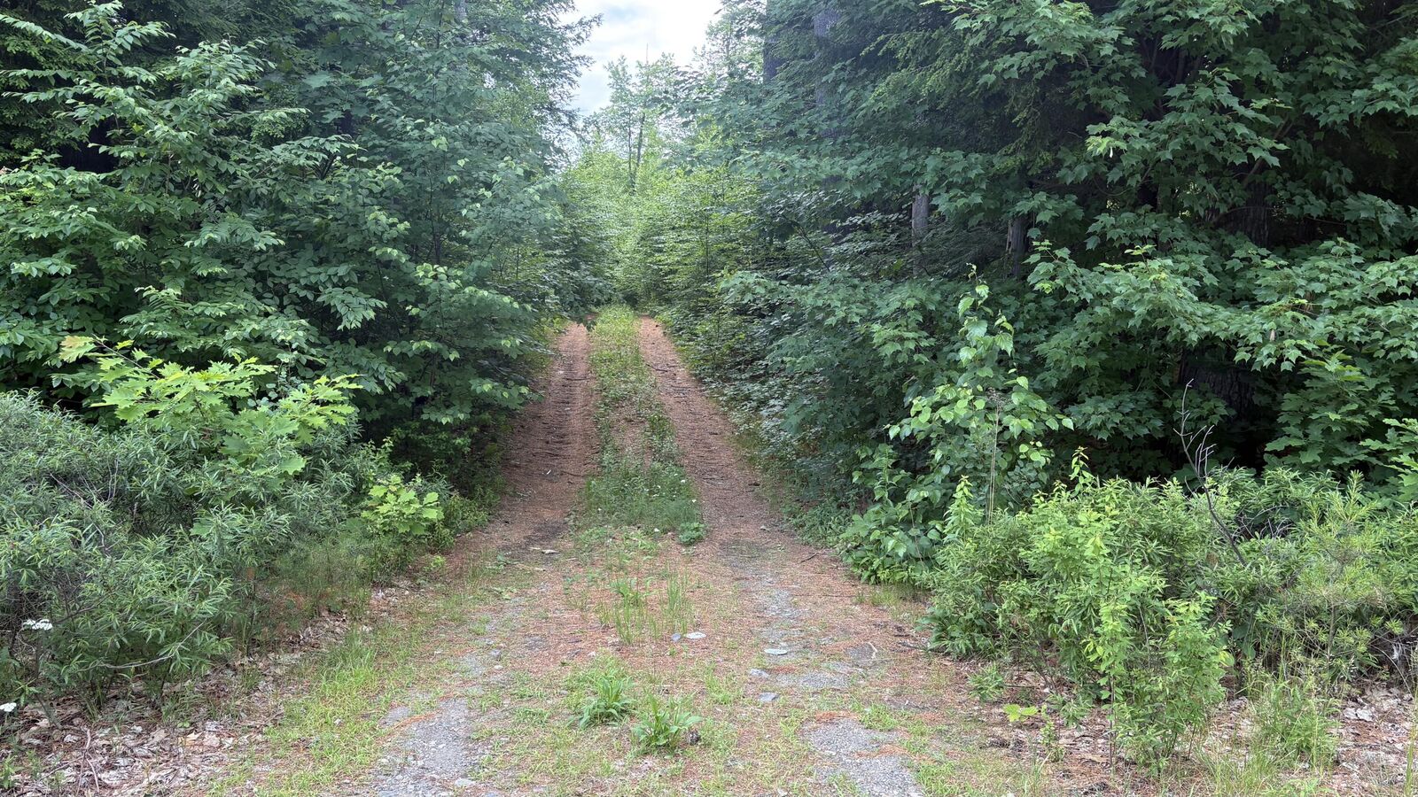 Property Photo:  Route 17 Augusta Rockland Road  ME 04363 