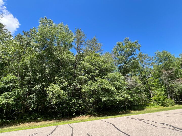 Property Photo:  Lot 2 Birch Lane  MN 56401 