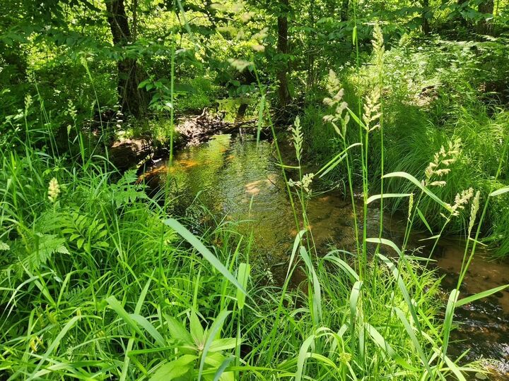 Property Photo:  12629 W Fairman Lane  WI 54548 