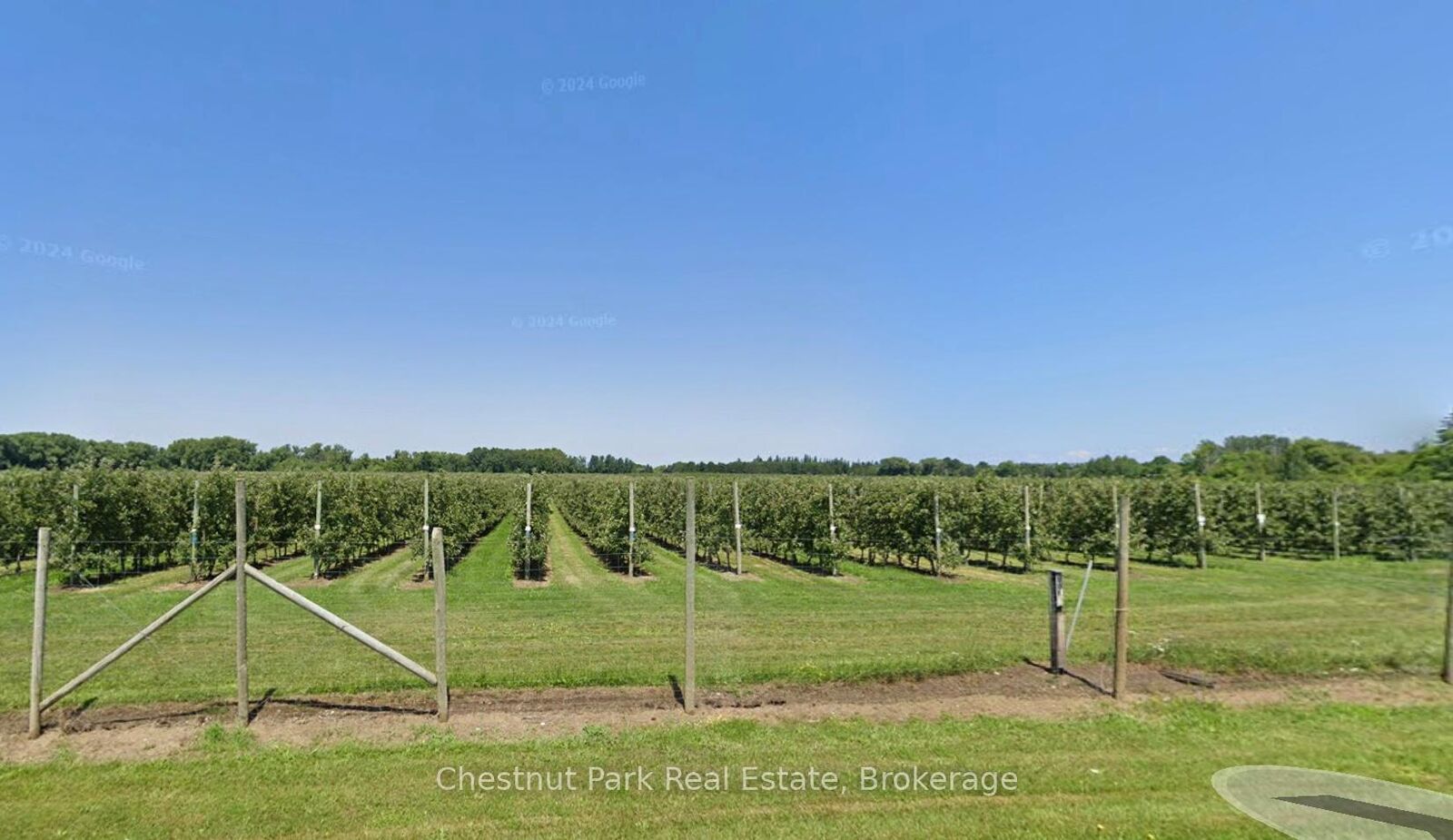 Property Photo: Pt Lt 31 Sideroad 30 N/A ON N0H 2P0