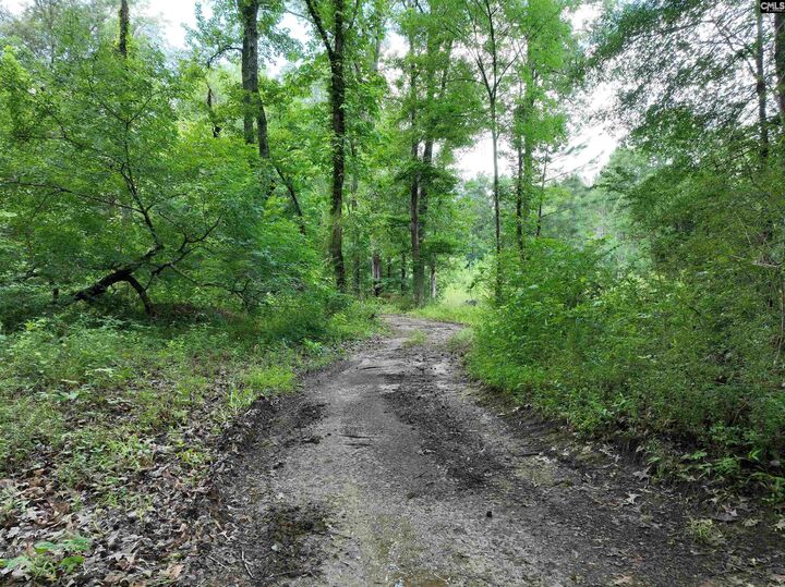 Property Photo: 0 Rocky Branch SC 29036