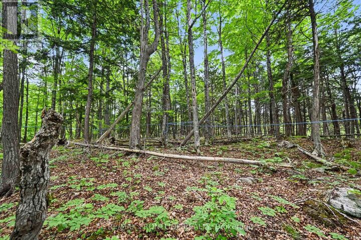 634 Concession 5A Dalhousie — photo 1
