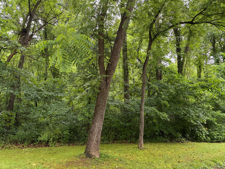 Property Photo:  00000 Mockingbird Trail  KY 41129 