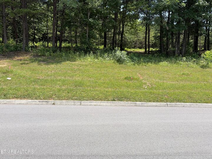 Property Photo: 144 Red Wing Drive TN 37885