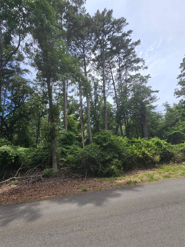 Property Photo:  Tbd Lot 36 Robin Cove  TX 75765 