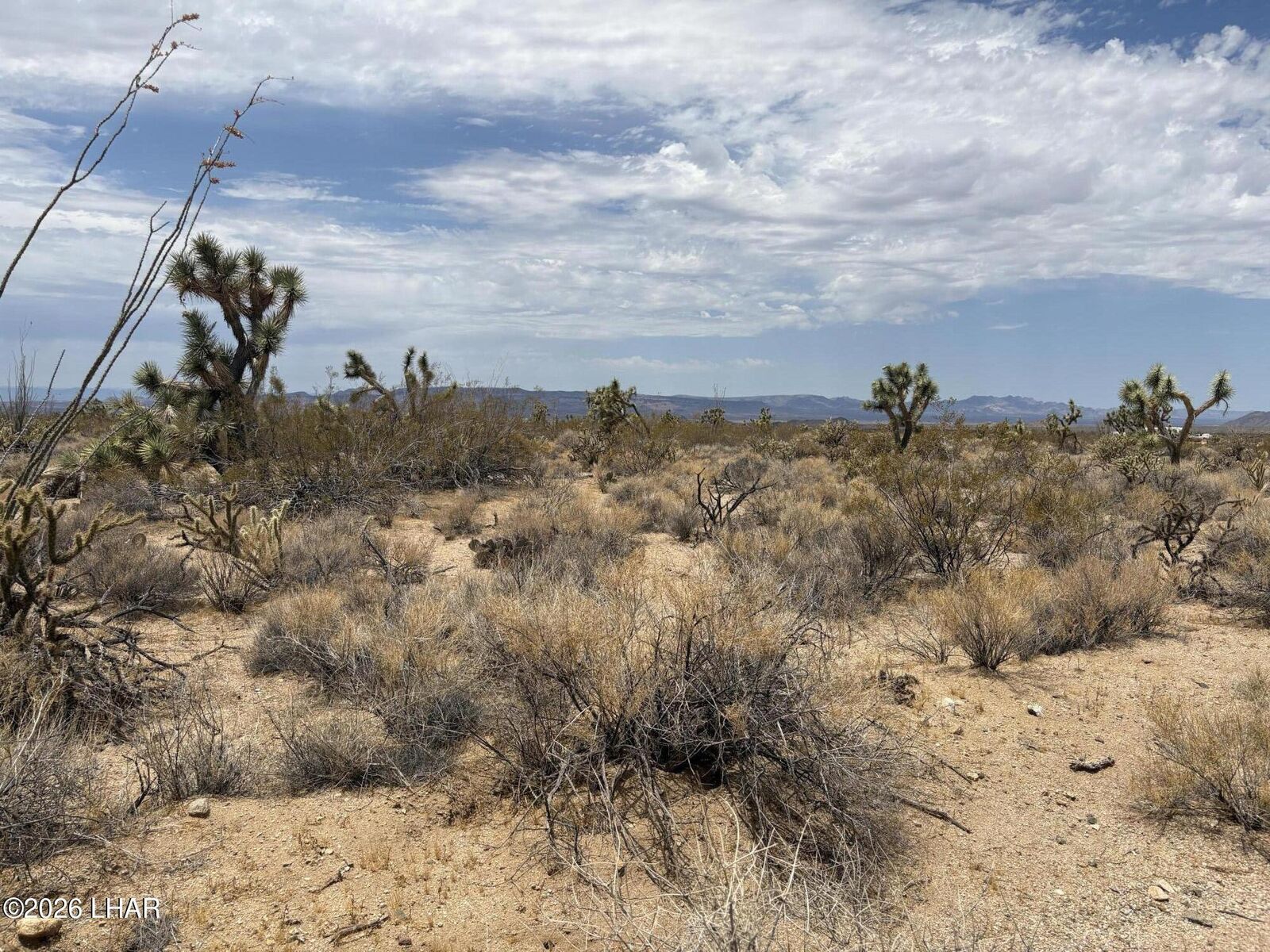 Property Photo:  00 Organ Pipe Pl  AZ 86438 