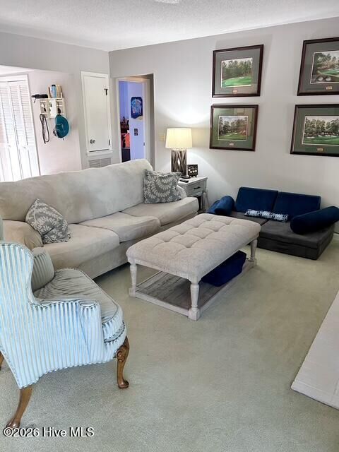 Property Photo:  250 Sugar Gum Lane # 252  NC 28374 