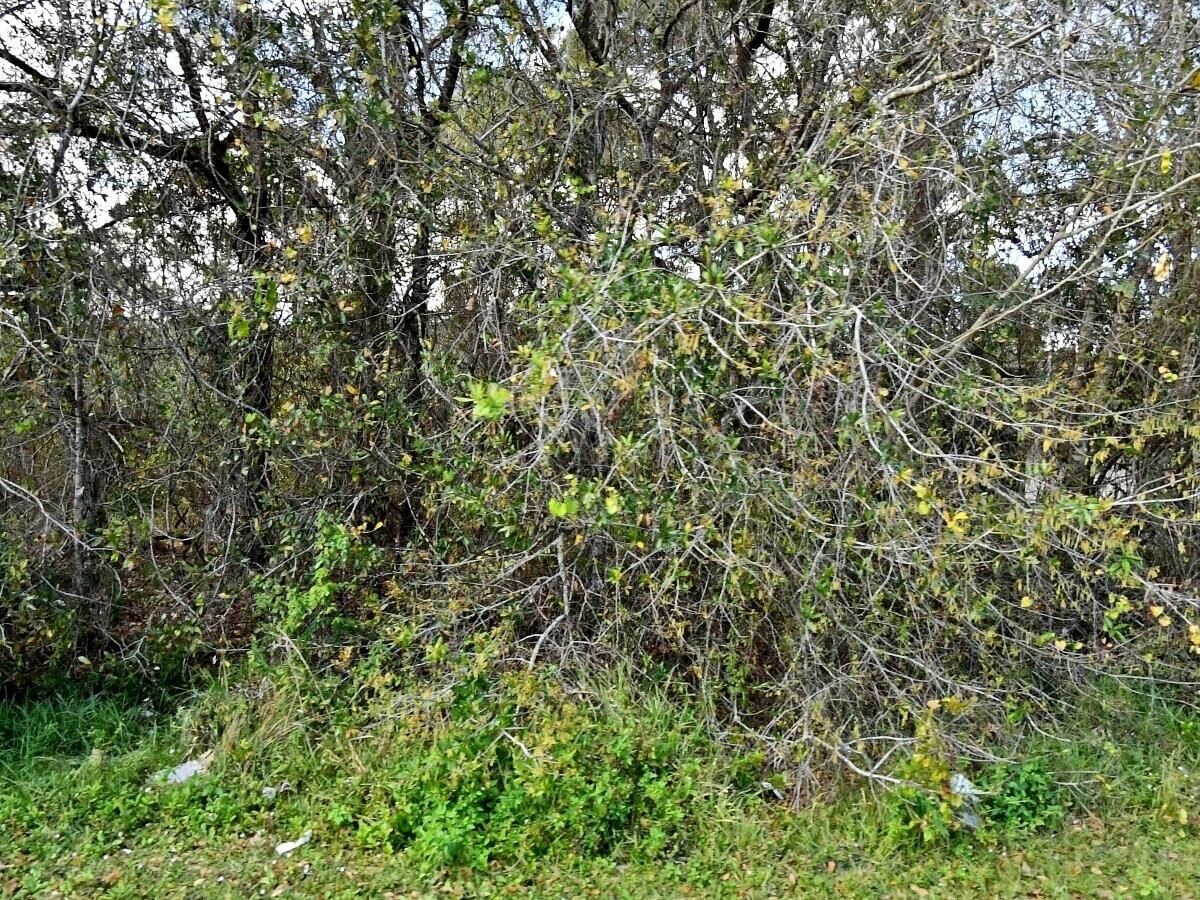 Property Photo:  5109 La Salle Street  FL 34951 