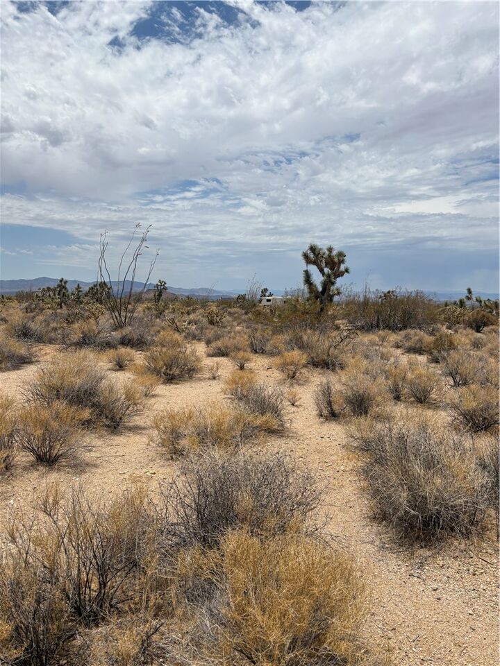 Property Photo:  244-08-203 Organ Pipe Pl  AZ 86438 