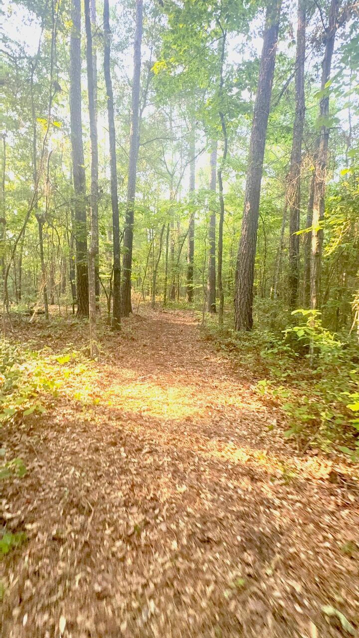 Property Photo: 000 Old Whiskey Road S SC 29809