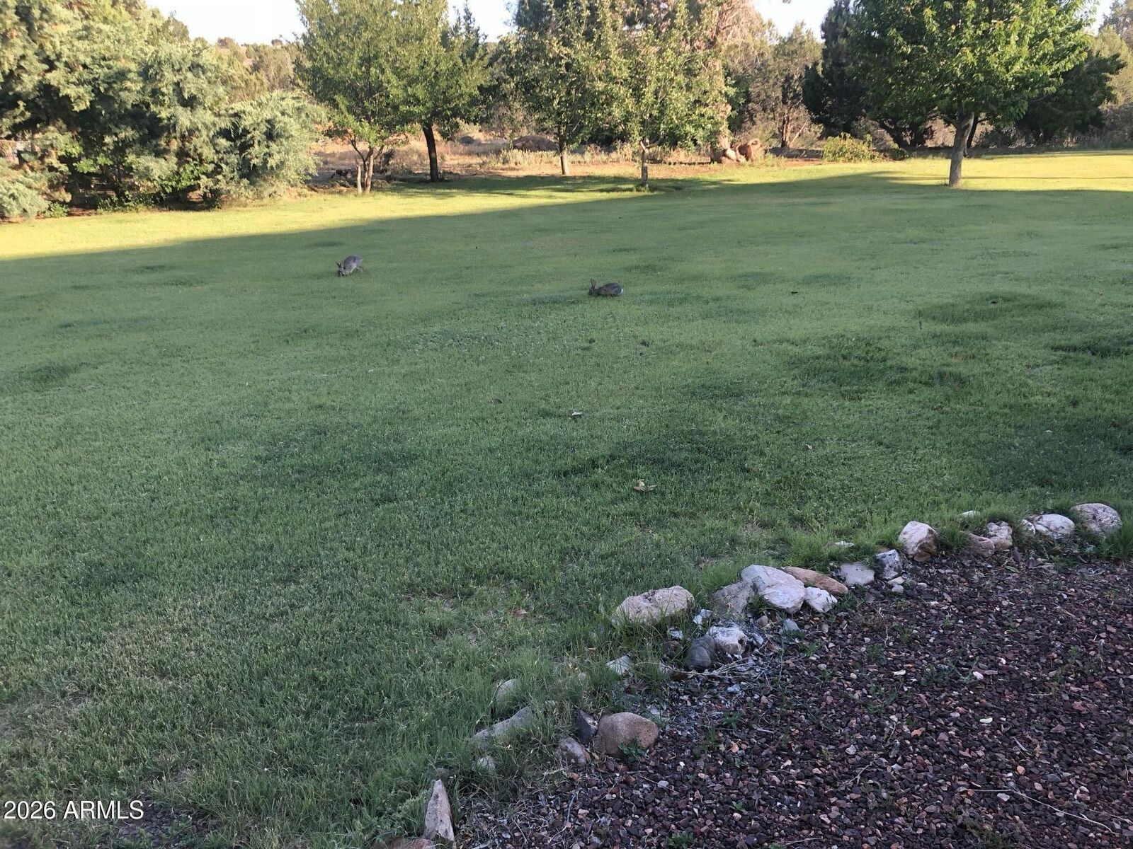 Property Photo:  20250 N Lower Territory Road  AZ 86301 