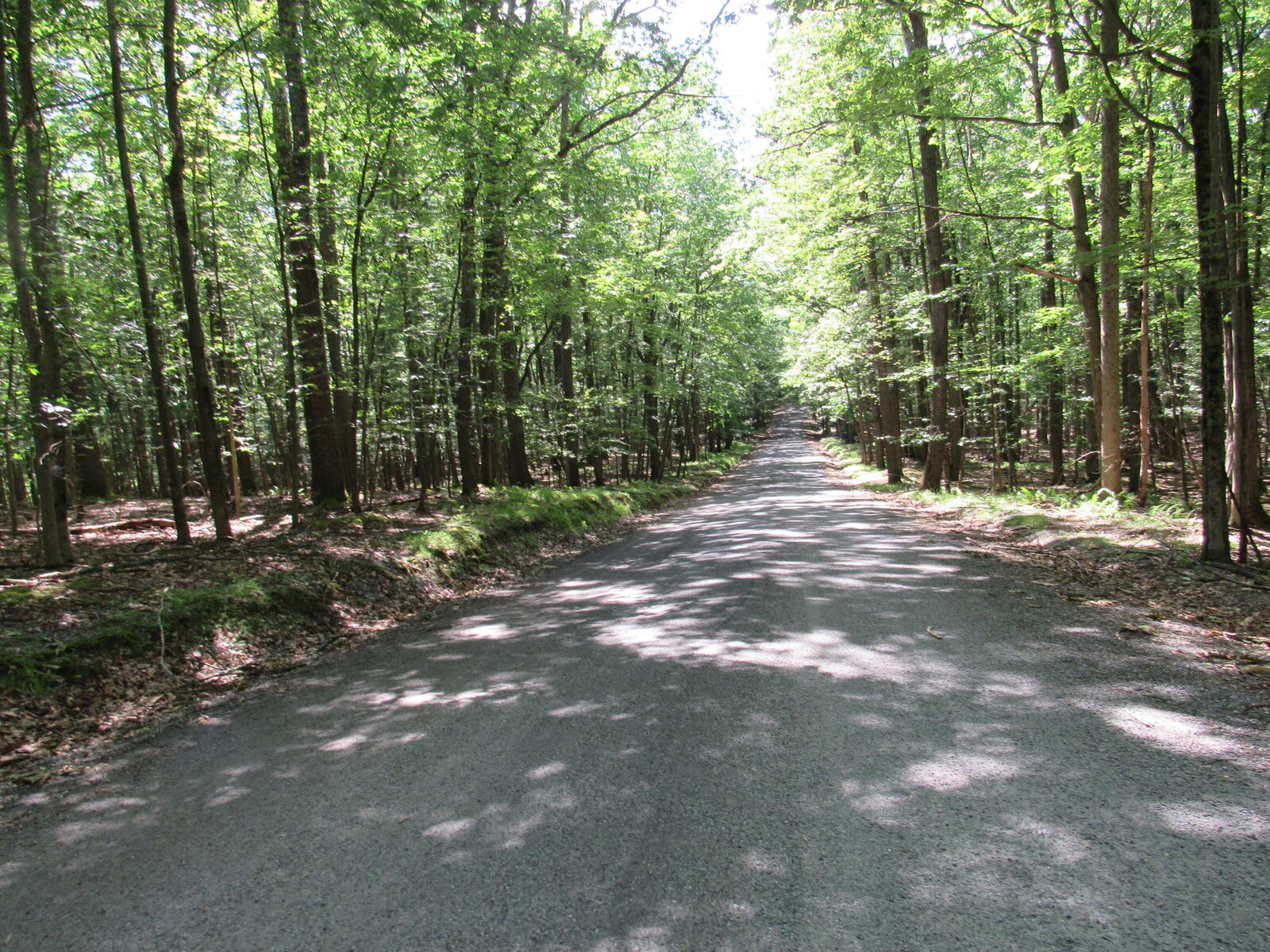 Property Photo: 14B San Andres PA 15801