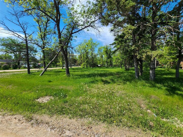 Property Photo:  355 Temple Avenue  MB R0C 3G0 