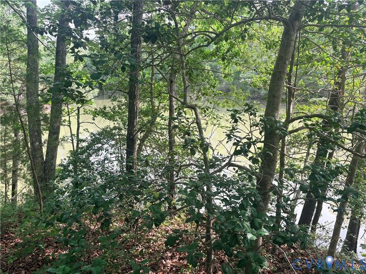 Property Photo: 0 Millenbeck Prong Road VA 22503