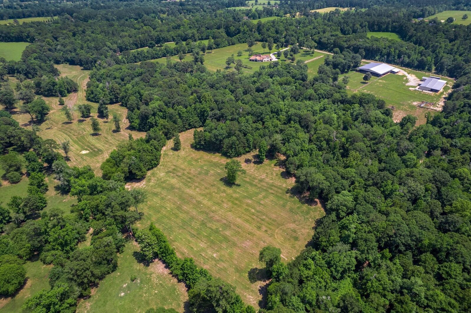 Property Photo:  4161 Fm 2666 Road  TX 77371 