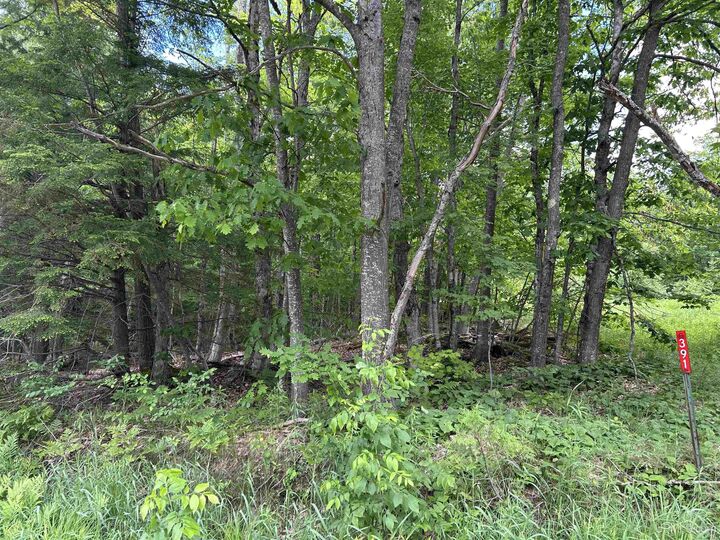 Property Photo:  391 N Carlshend Road  MI 49885-0000 