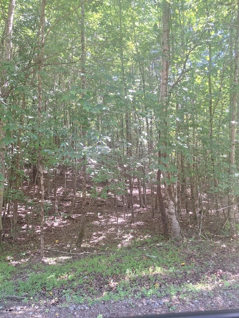 Property Photo:  0 Judah Road  GA 30560 
