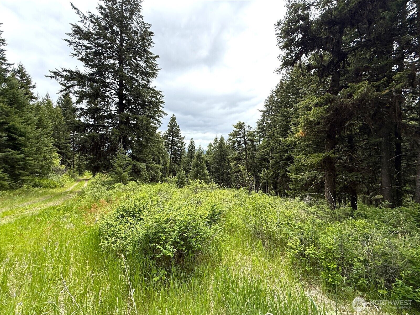 Property Photo:  0  Pontiac Ridge Road  WA 98844 