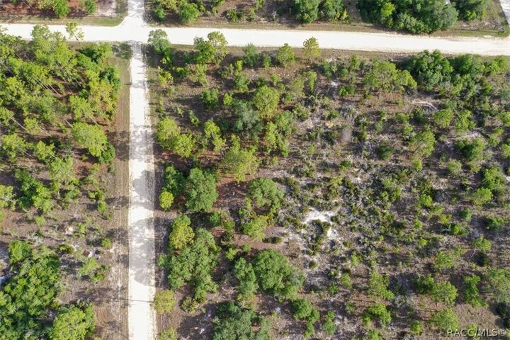 Property Photo:  0000 NE 132nd Lot 5 Terrace  FL 32696 
