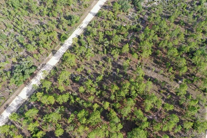 Property Photo:  0000 NE 132nd Lot 3 Terrace  FL 32696 