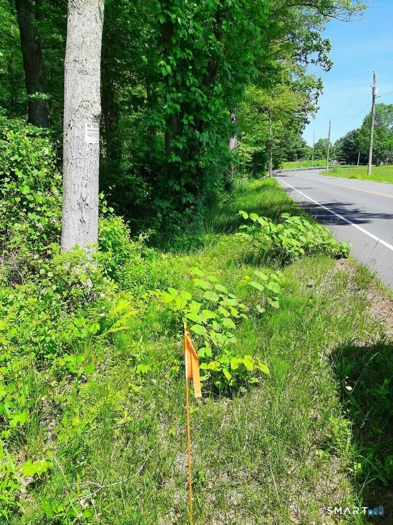 Property Photo:  Mullen Road  CT 06082 