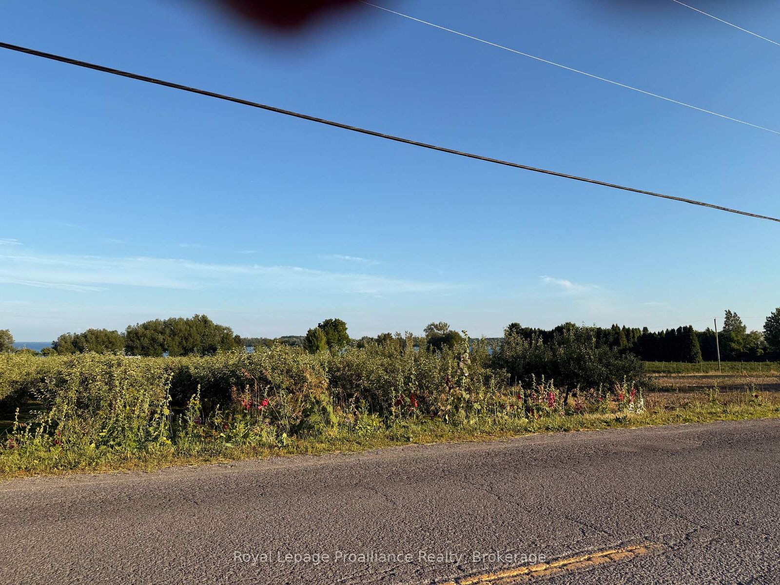 Property Photo: 00 County Road 8 N/A ON K0K 2T0