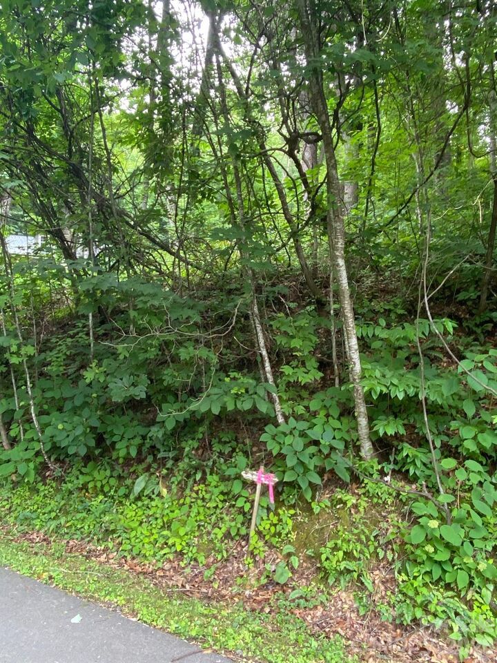 Property Photo:  00 Aaron Way 21  NC 28786 