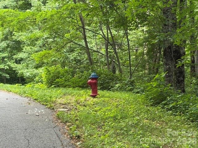 Property Photo:  Lot 35 Odalu Trail 35  NC 28751 