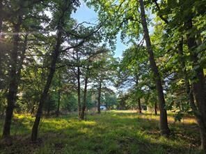 Property Photo:  0 Timber Ridge  TX 75770 