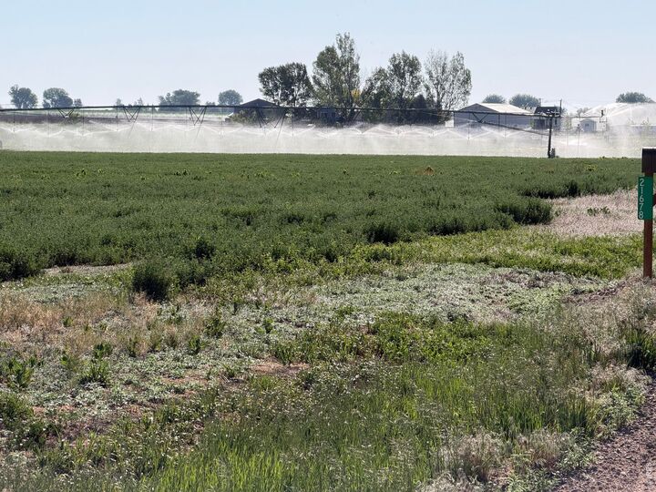 Property Photo:  County Road 70  CO 80615 