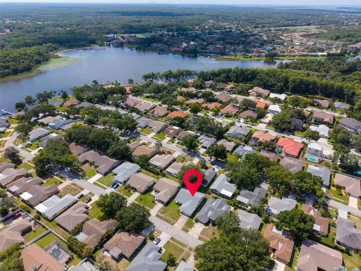 Property Photo:  3960 Tarpon Pointe Circle  FL 34684 