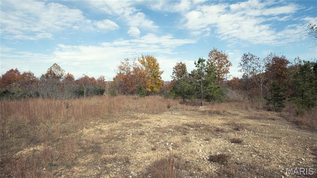 Property Photo:  0 Highway 49 Tract 1-13  MO 63957 