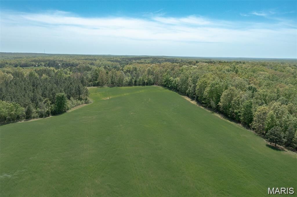 Property Photo:  43 Off Annapolis Drive  MO 63751 