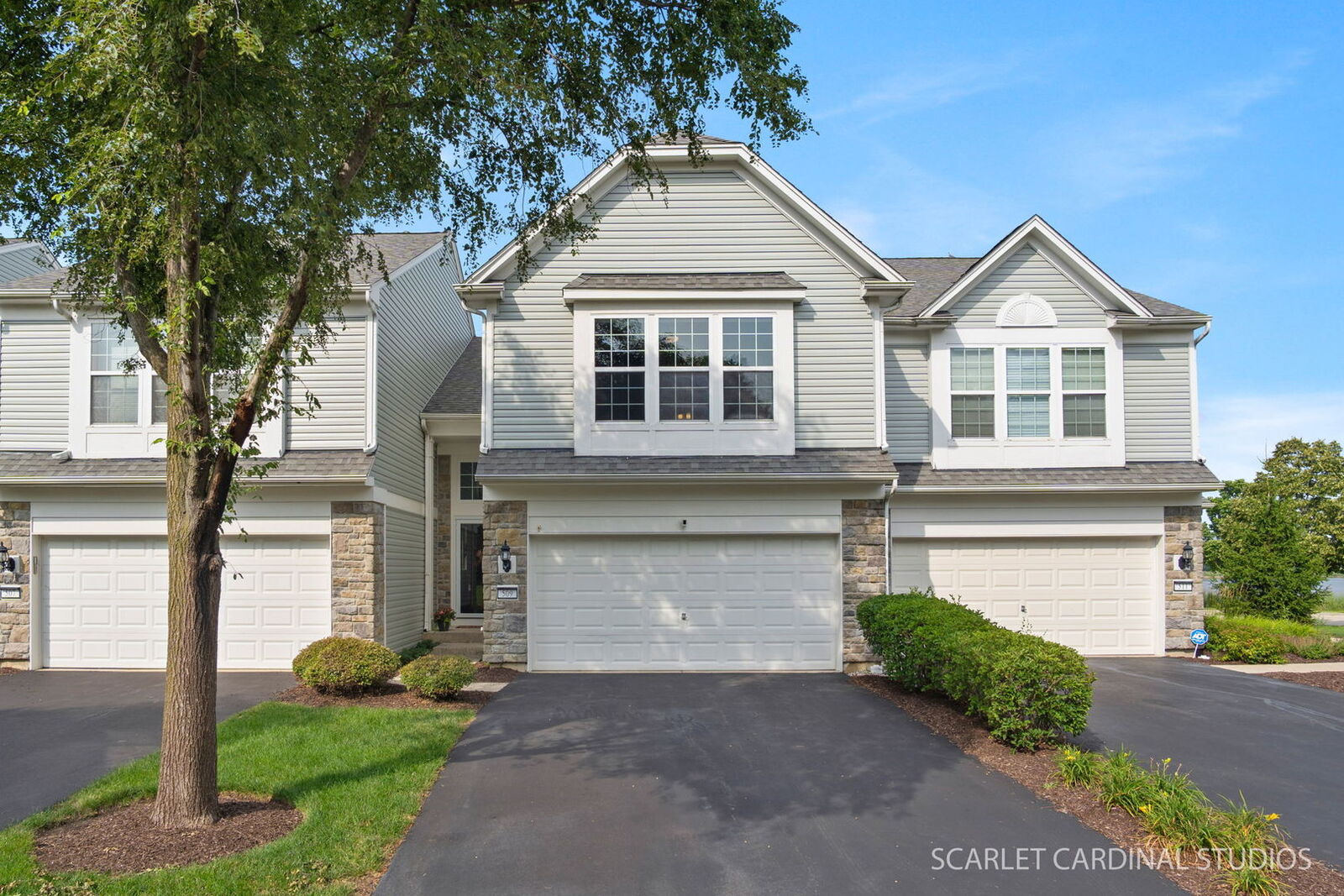 Property Photo:  509 Valentine Way 495  IL 60543 