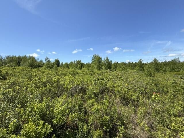 Property Photo: Map10lotp 214 ME 04657