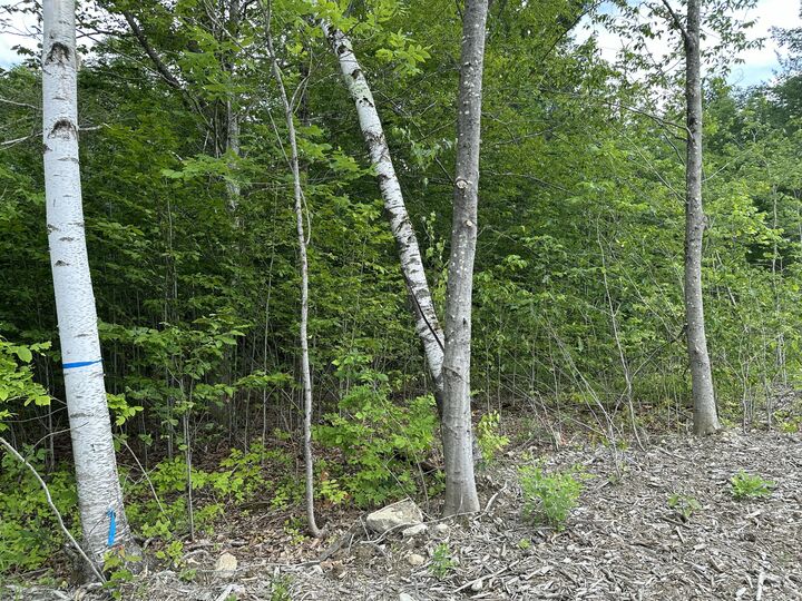 Property Photo: Tbd Dingley Road ME 04008