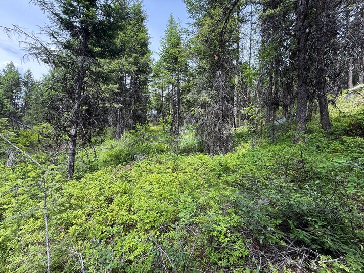 Property Photo:  Tbd Mule Deer Rd  WA 99166 