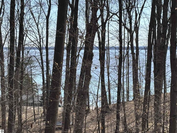 Property Photo: Lot 21 Moonrise Court MI 49686