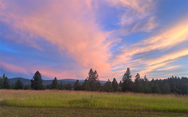 Property Photo: 117 Happy Hollow MT 59917