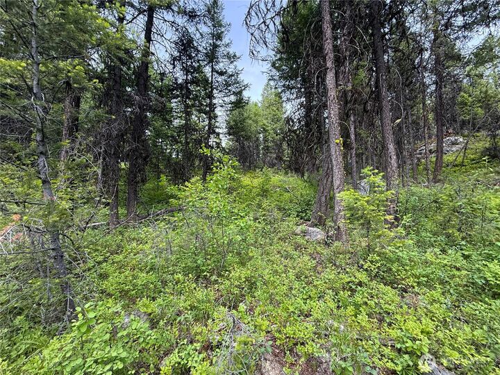 Property Photo:  0  Mule Deer  WA 99166 