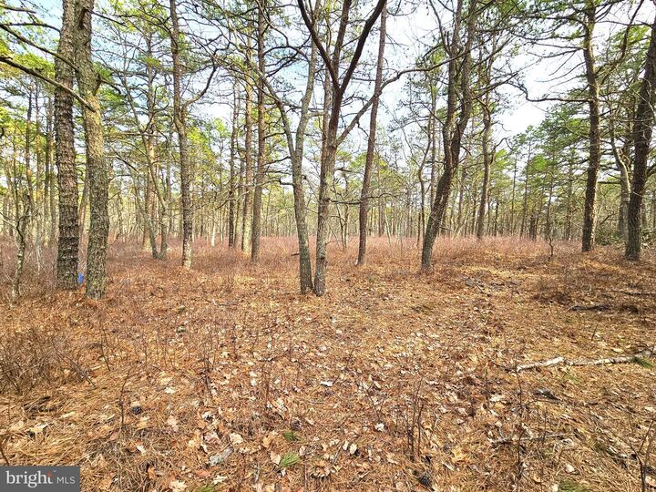 Property Photo:  20 Pinewood Drive  NJ 08087 