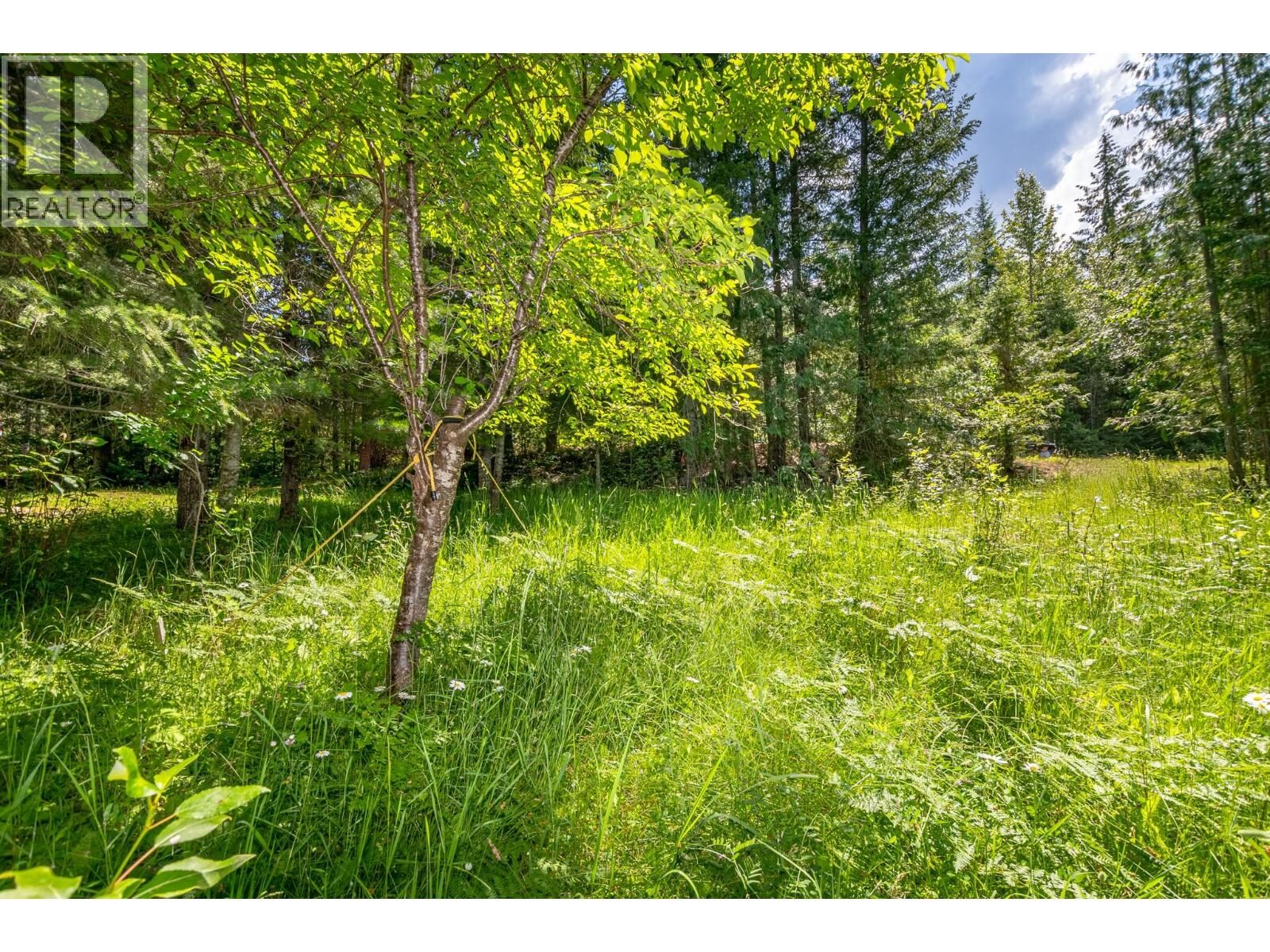 Property Photo:  98 Dolly Varden Road  BC V0E 1V5 