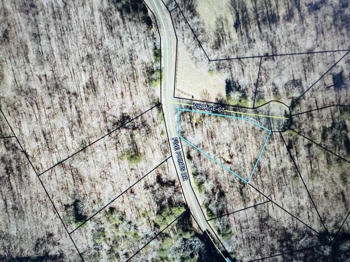 Property Photo:  Lot 8 Village Ct. (Briarwood Sub.)  KY 42642 