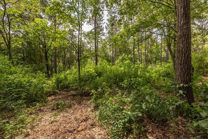 Property Photo:  R154975 Old Homer Alto Road  TX 75901 