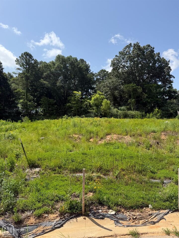 Property Photo: 4316 Stoke Drive AR 72405