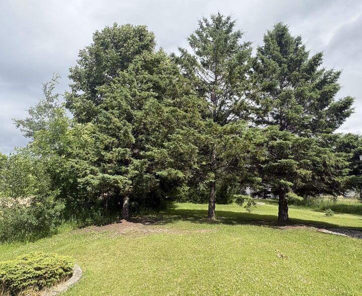 Property Photo: 2700 S Lake Jessie Road SE MN 56308